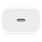 Apple Power Adapter 20W CP